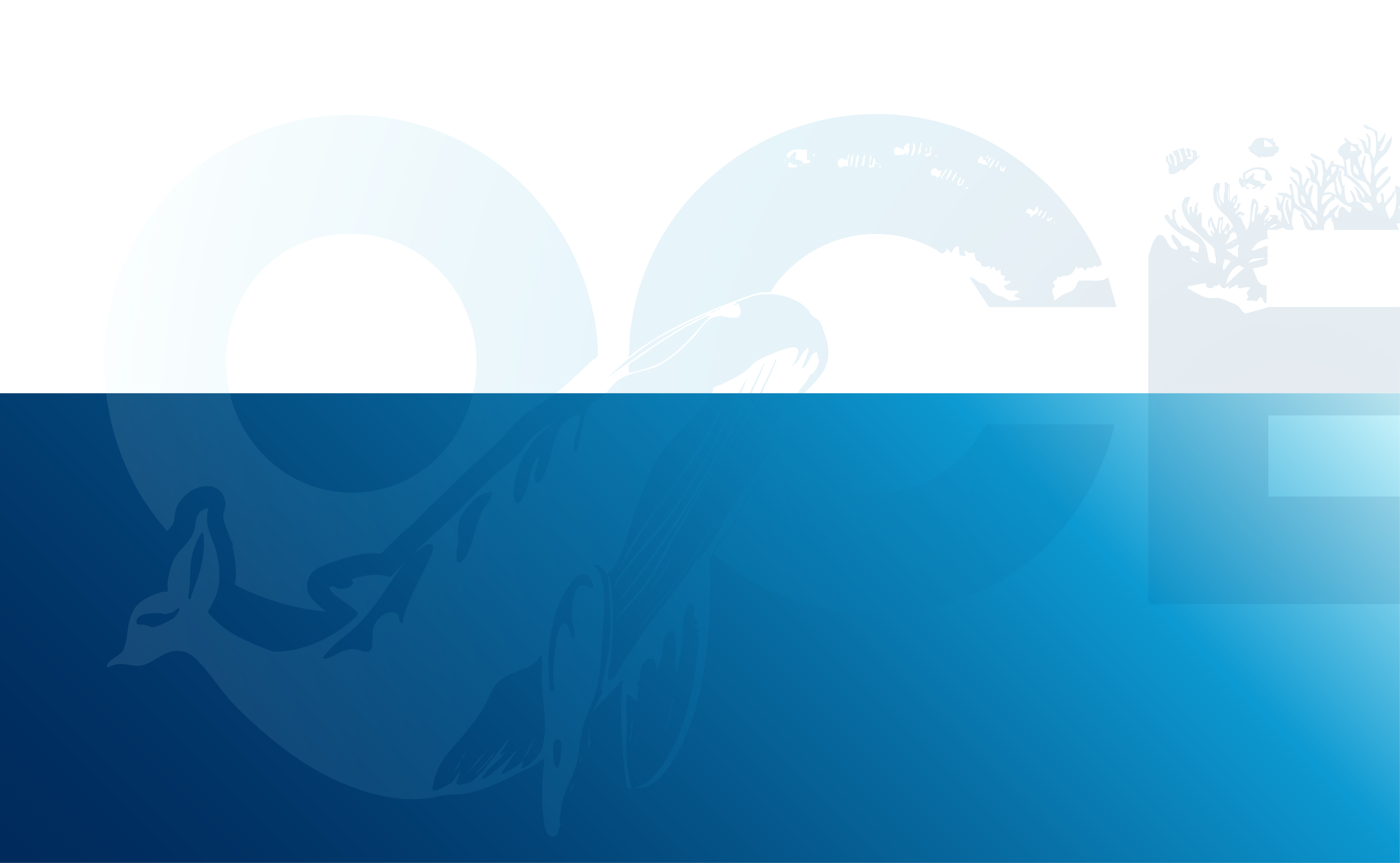 Unified ocean background transitioning from light to dark blue